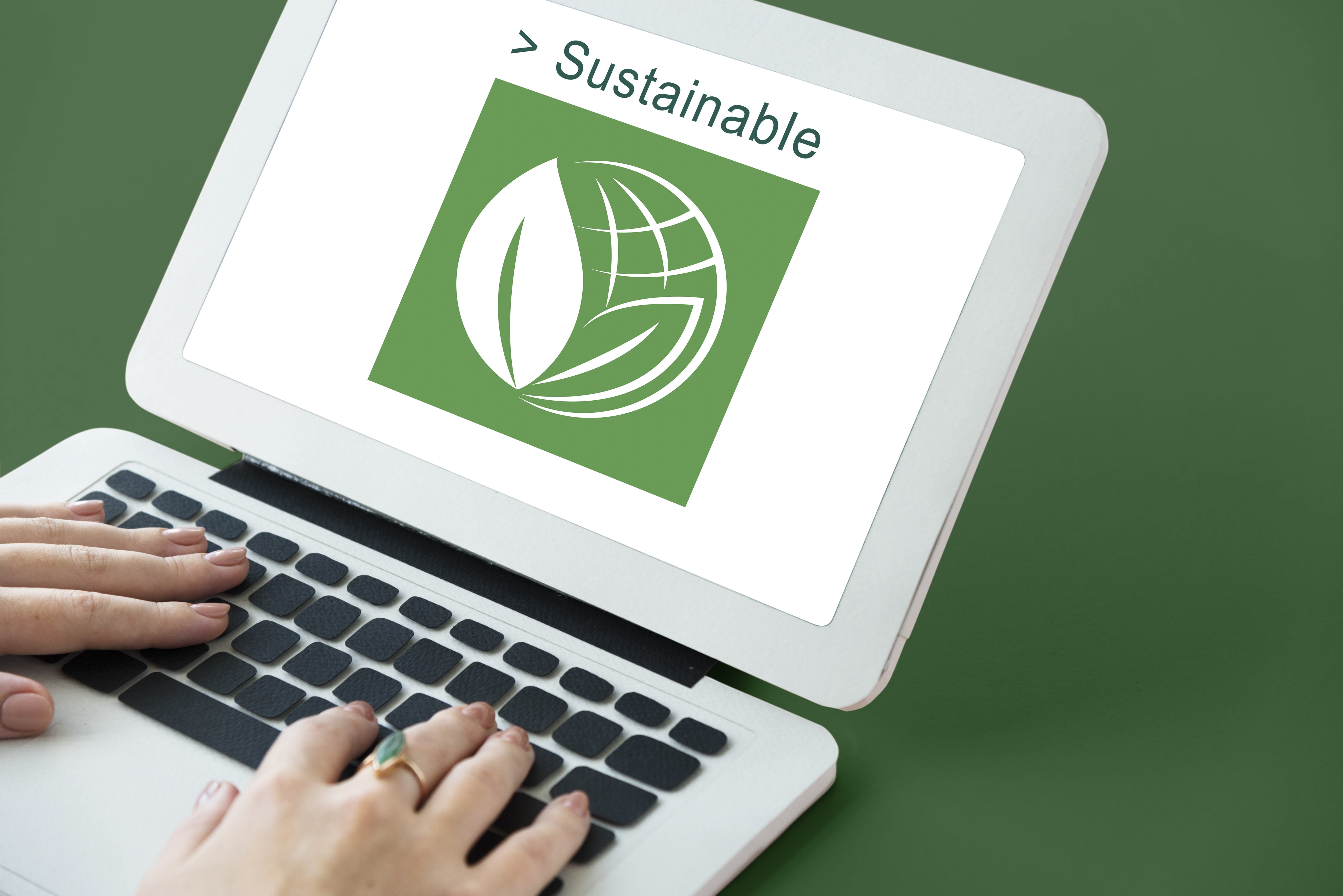 Spanish Point Technologies: Improving Sustainability Through Carbon Footprint Awareness